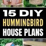 Build a Cozy Haven for Squirrels: Comprehensive Squirrel House Plans