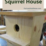 Build Your Own Squirrel Houses Free Easy To Follow Plans