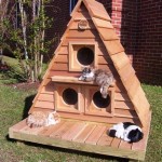 Build Your Perfect Cat House: Comprehensive Design Plans