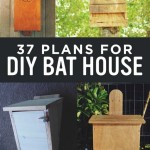 Free Bat House Plans: Build a Home for Beneficial Creatures