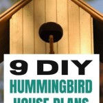 Hummingbird House Plans: Build a Cozy Haven for Tiny Birds