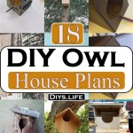 Owl House Plans: Your Guide to Providing a Safe Haven for Barn Owls