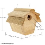 Wren Bird House Plans: Attract These Charming Songbirds to Your Backyard!